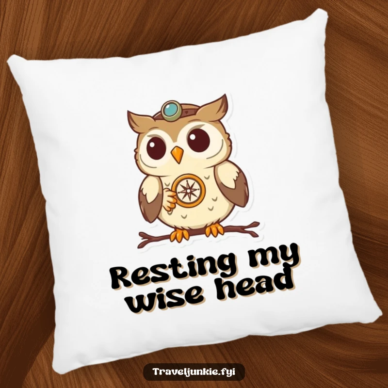 Funny Owl Navigator Pillow: A soft cushion showcasing a determined owl with a compass, offering comfort and a hint of humor.